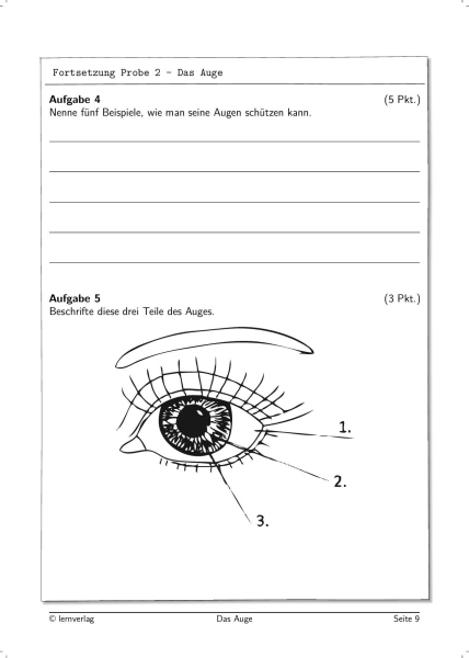 Das Auge Arbeitsblatt Klasse 3 – RCUQ